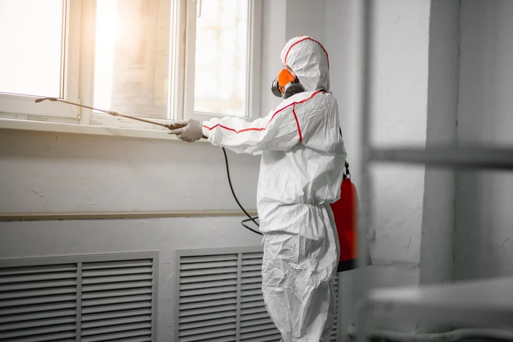 Professional mold remediation services in Greenland, NH